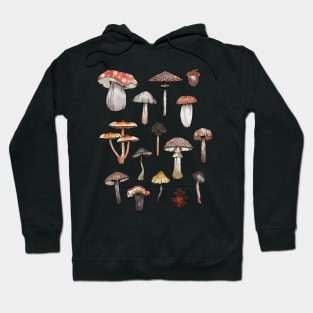 Watercolor Mushrooms Fungi Cottagecore Goblincore Hoodie